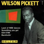 Wilson Picket - Land of 1000 dances