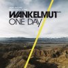 Asaf Avidan - One Day (Reckoning Song) (Wankelmut Remix)